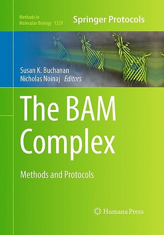 The BAM Complex