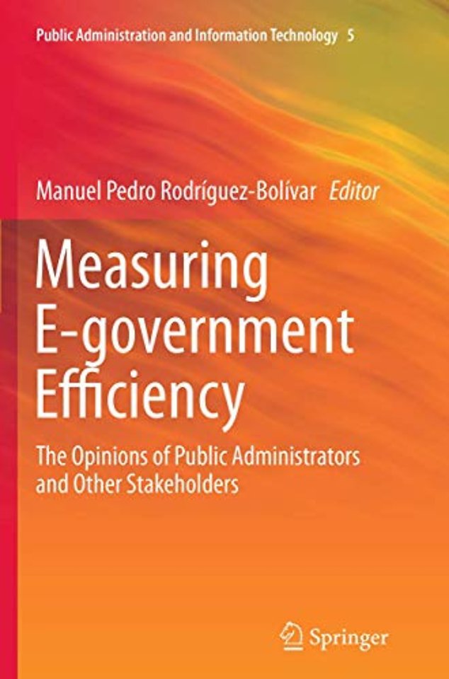 Measuring E-government Efficiency