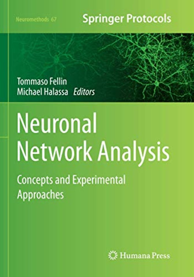 Neuronal Network Analysis