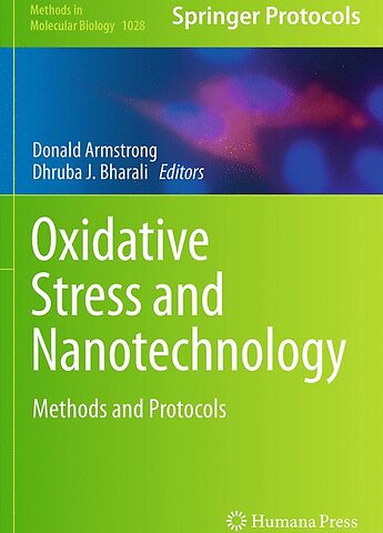 Oxidative Stress and Nanotechnology