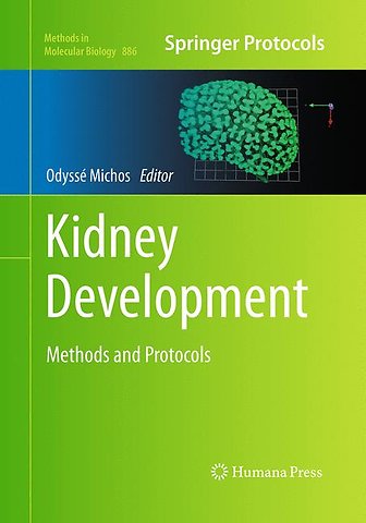 Kidney Development