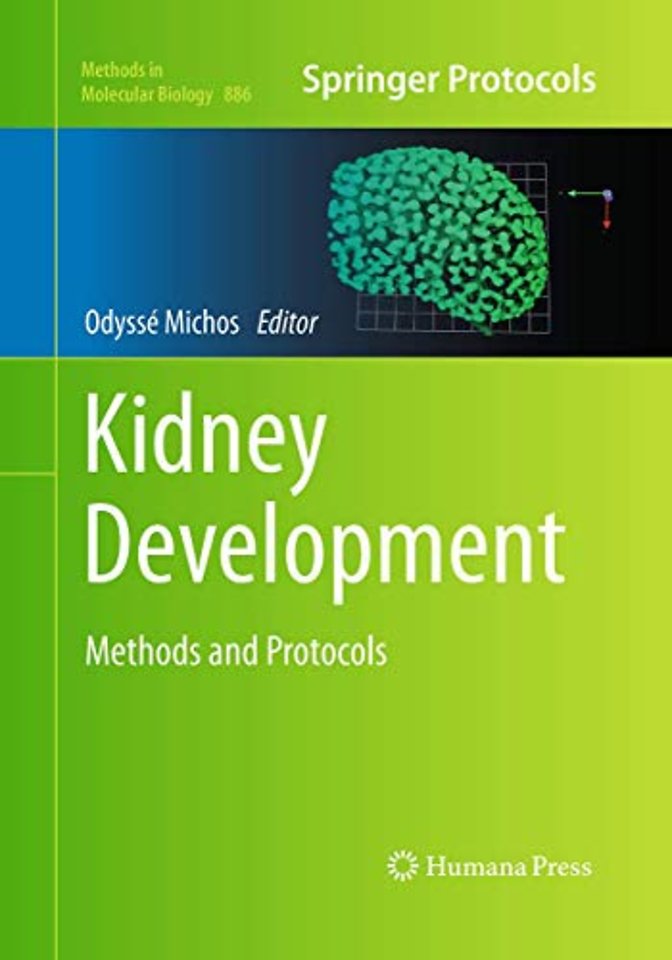 Kidney Development