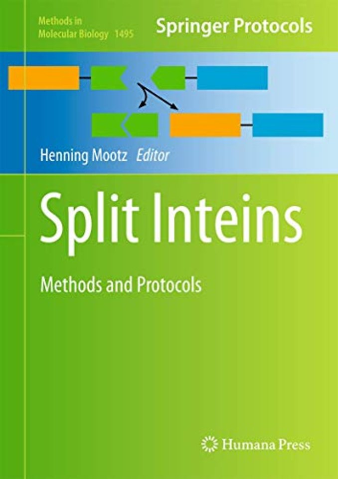 Split Inteins
