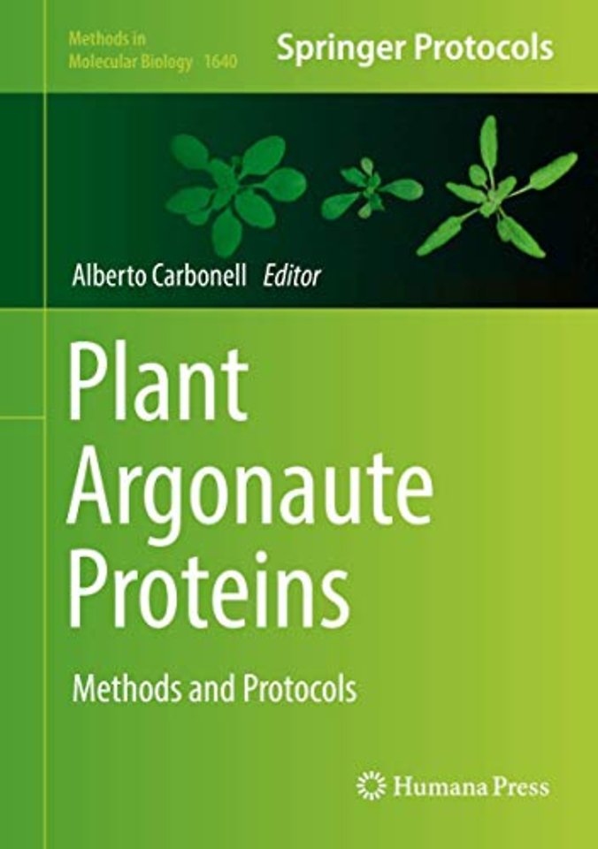 Plant Argonaute Proteins