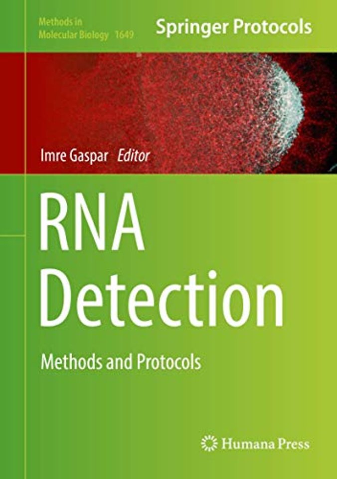 RNA Detection