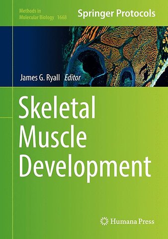 Skeletal Muscle Development