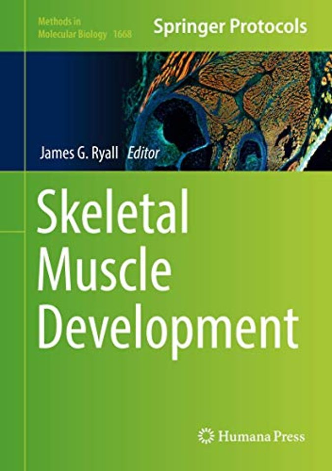 Skeletal Muscle Development