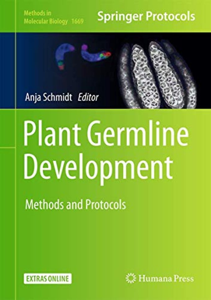 Plant Germline Development