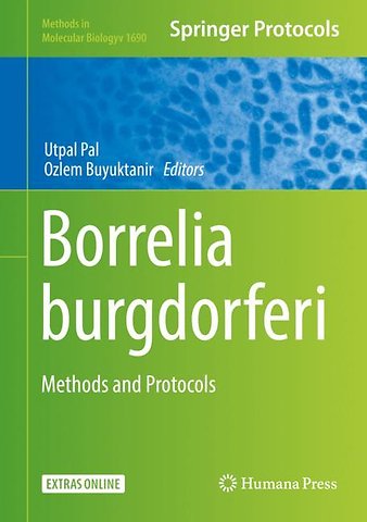 Borrelia burgdorferi