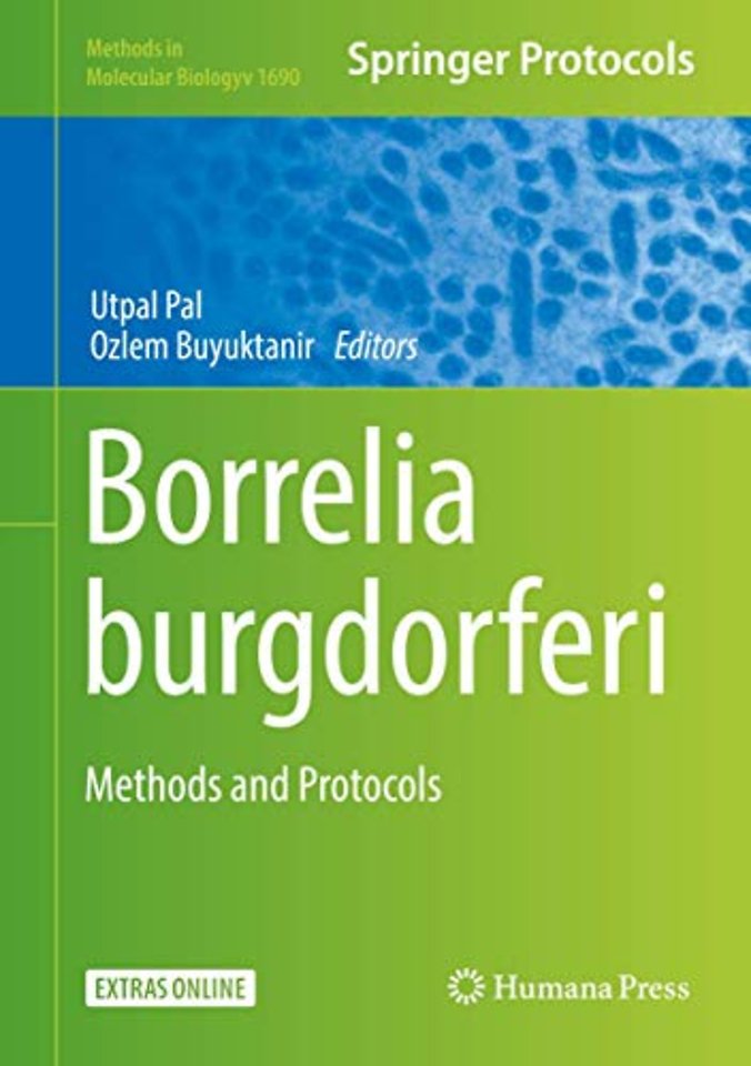 Borrelia burgdorferi