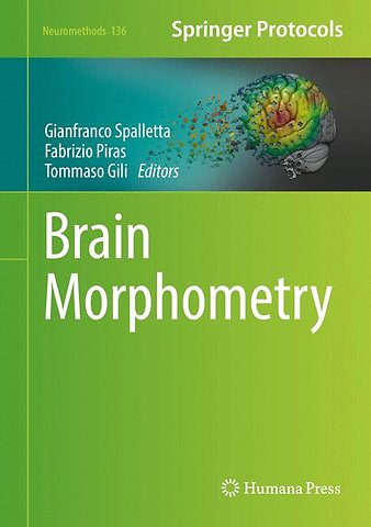 Brain Morphometry
