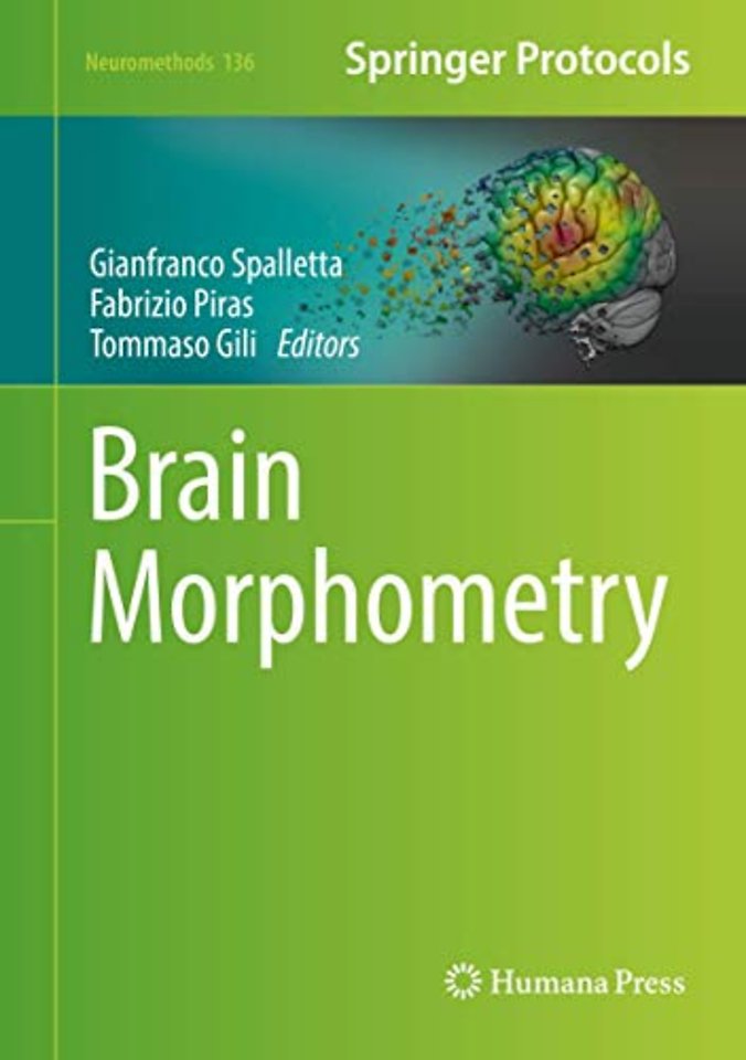 Brain Morphometry
