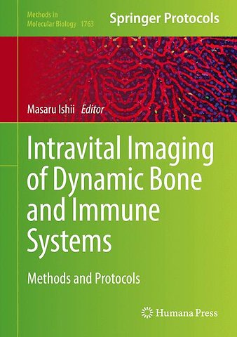 Intravital Imaging of Dynamic Bone and Immune Systems