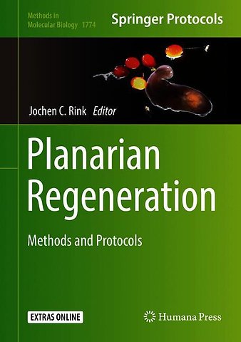 Planarian Regeneration