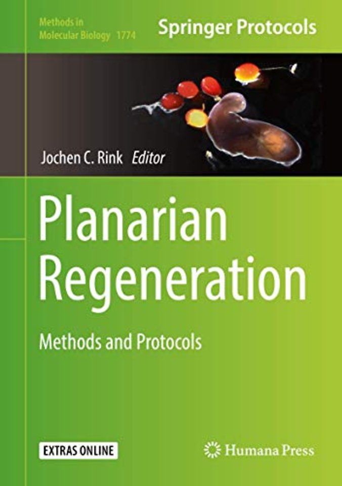 Planarian Regeneration