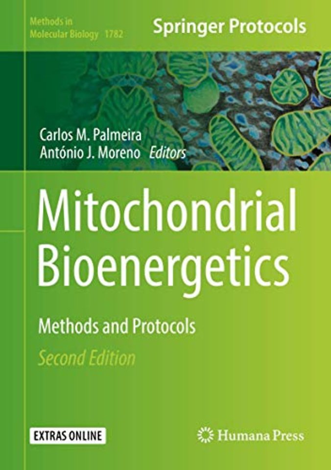 Mitochondrial Bioenergetics