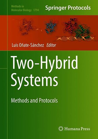Two-Hybrid Systems