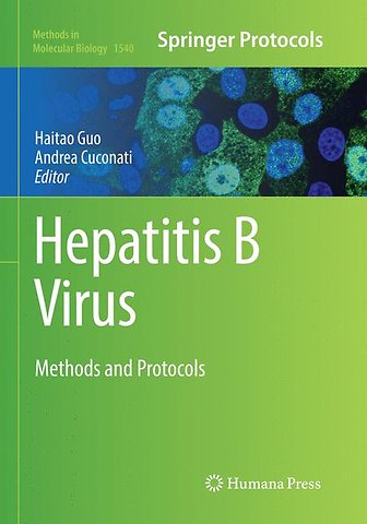 Hepatitis B Virus