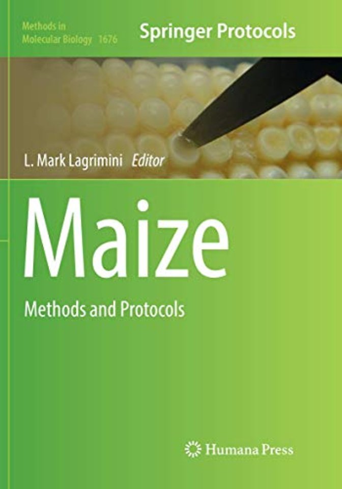 Maize