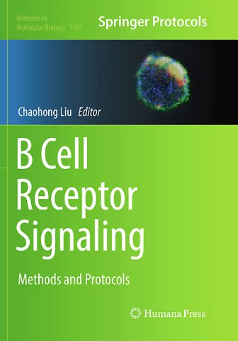 B Cell Receptor Signaling