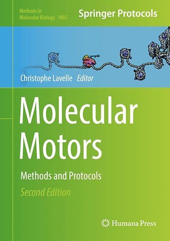 Molecular Motors
