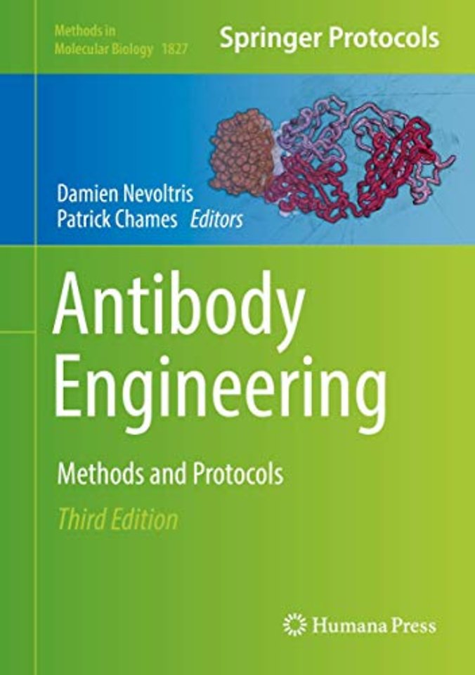 Antibody Engineering