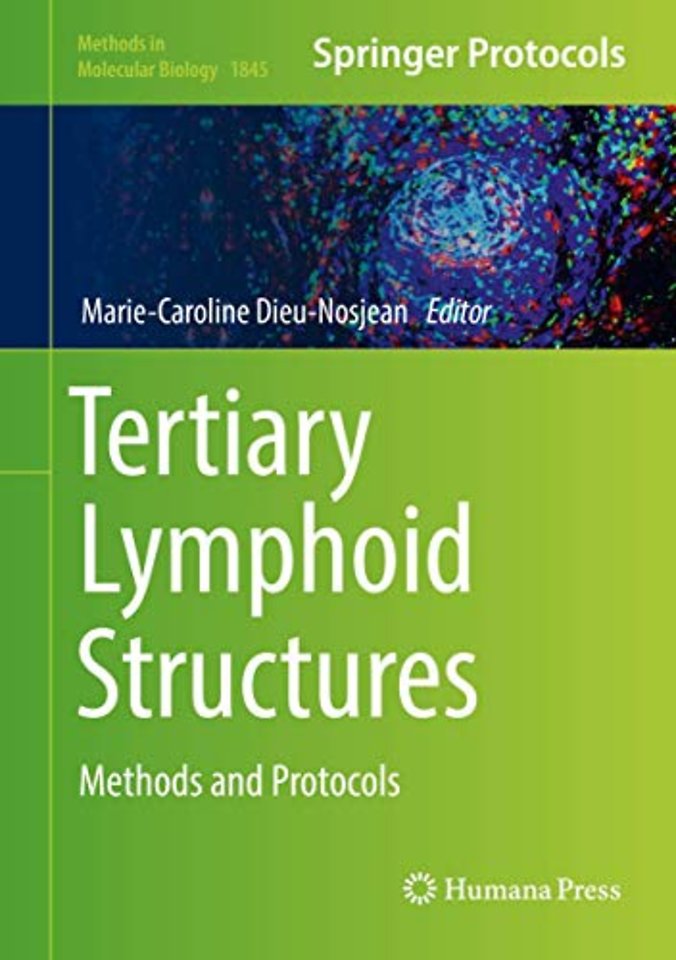 Tertiary Lymphoid Structures
