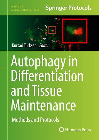 Autophagy in Differentiation and Tissue Maintenance