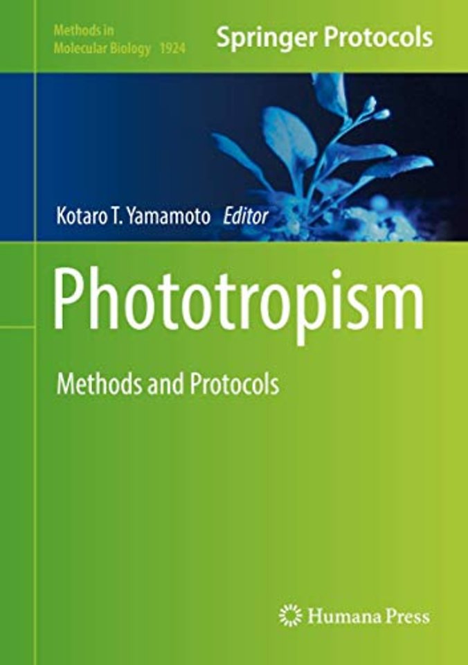 Phototropism