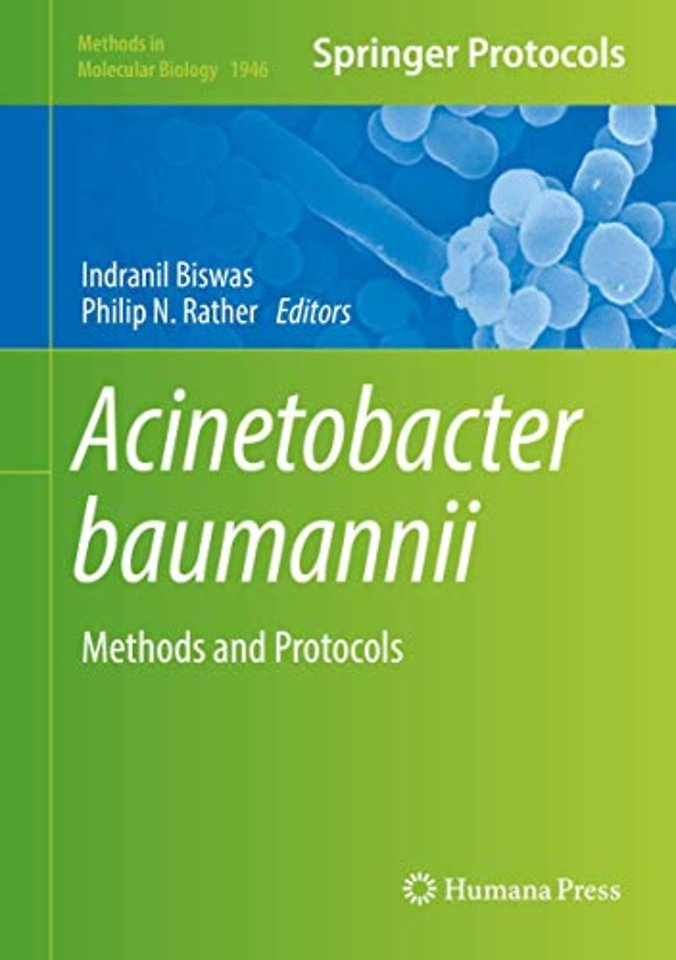 Acinetobacter baumannii