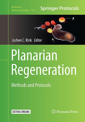 Planarian Regeneration