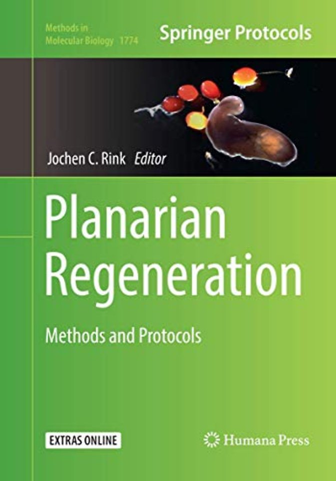 Planarian Regeneration