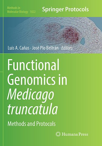 Functional Genomics in Medicago truncatula