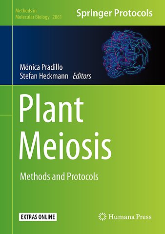 Plant Meiosis