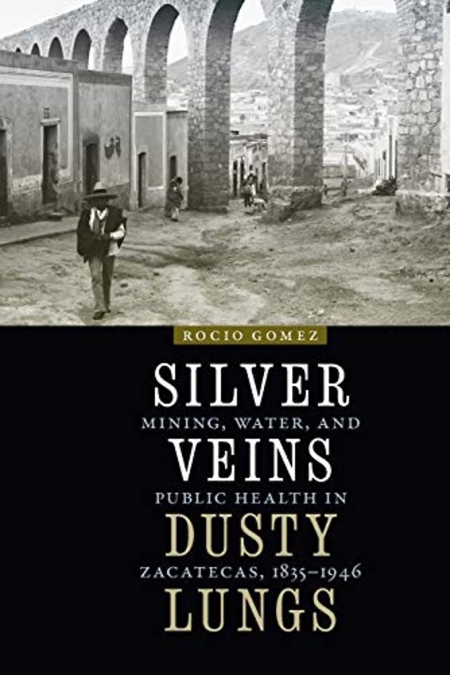 Silver Veins, Dusty Lungs – Mining, Water, and Public Health in Zacatecas, 1835–1946