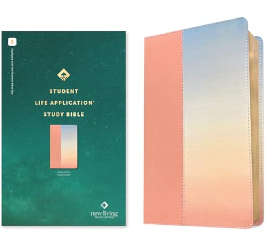 NLT Student Life Application Study Bible, Filament Enabled (Leatherlike, Ombre Pink, Red Letter)
