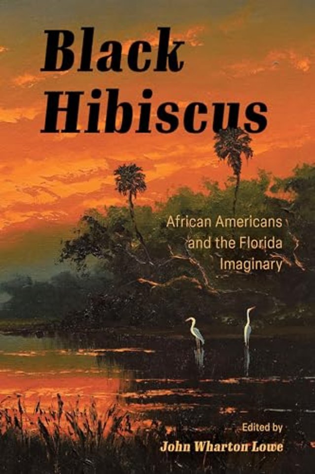 Black Hibiscus – African Americans and the Florida Imaginary