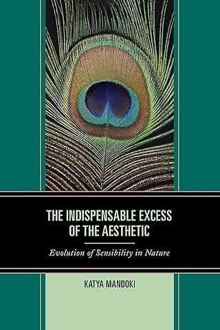 The Indispensable Excess of the Aesthetic