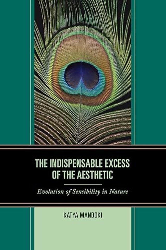 The Indispensable Excess of the Aesthetic