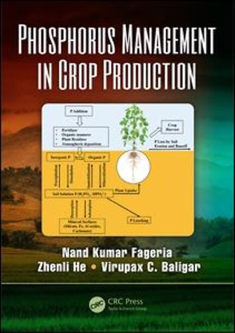 Phosphorus Management in Crop Production
