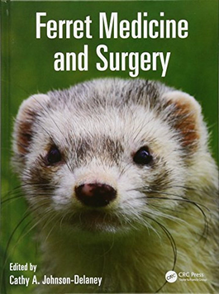 Ferret Medicine and Surgery
