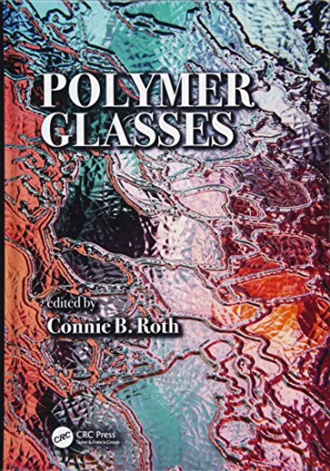 Polymer Glasses