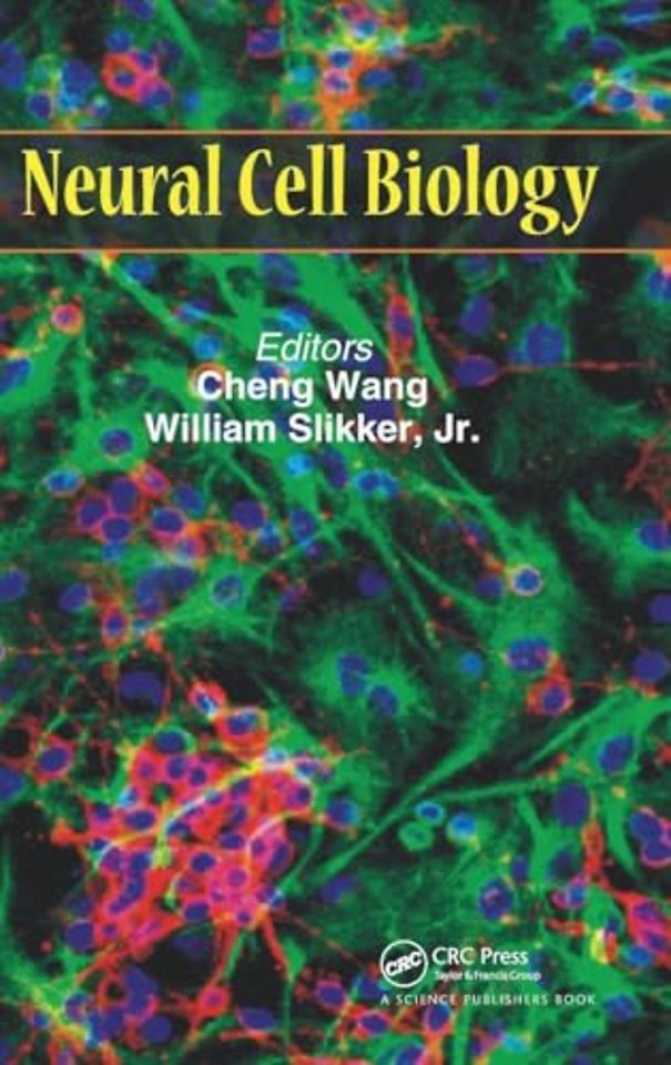 Neural Cell Biology