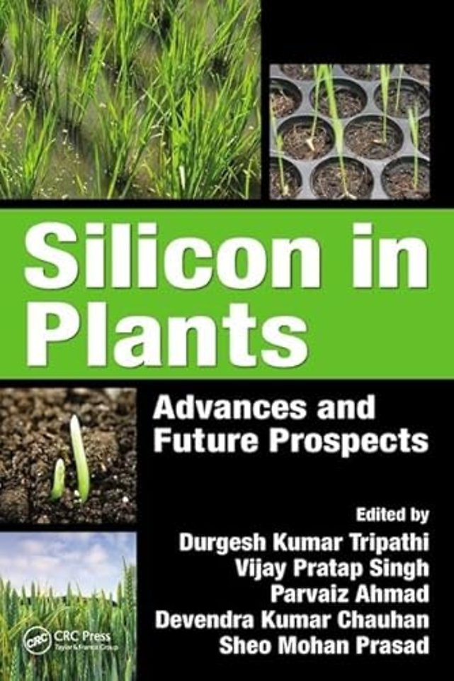 Silicon in Plants