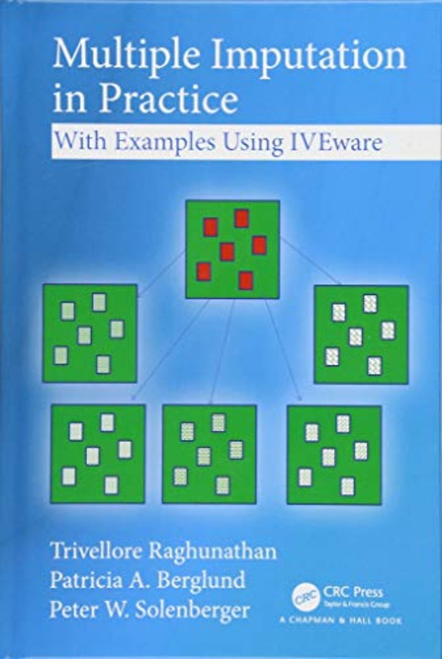 Multiple Imputation in Practice