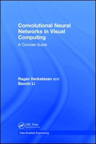 Convolutional Neural Networks in Visual Computing