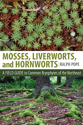 Mosses, Liverworts, and Hornworts – A Field Guide to the Common Bryophytes of the Northeast