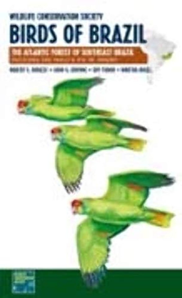 Wildlife Conservation Society Birds of Brazil – The Atlantic Forest of Southeast Brazil, Including São Paulo and Rio De Janeiro