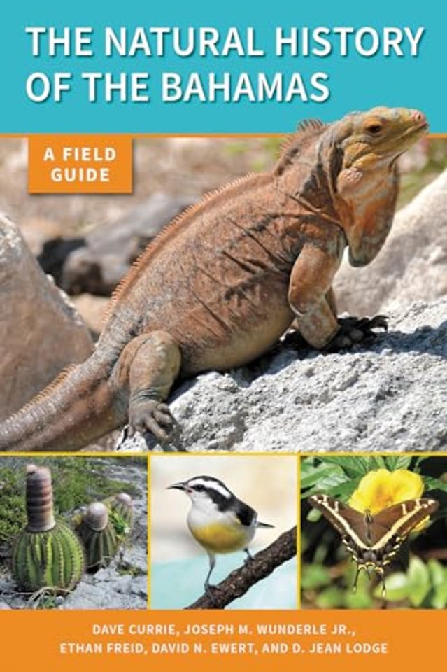 The Natural History of the Bahamas – A Field Guide