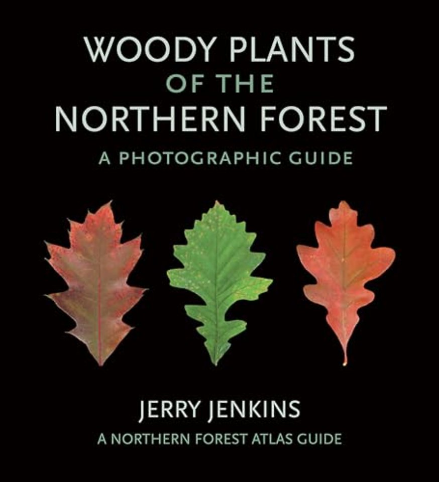Woody Plants of the Northern Forest – A Photographic Guide